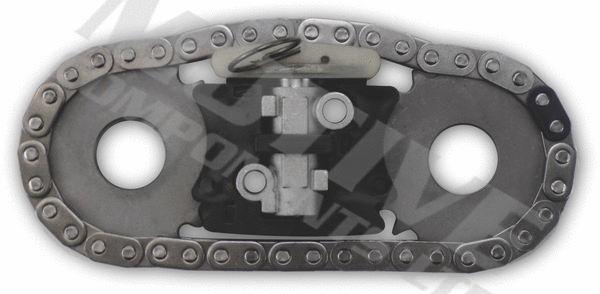 Timing Chain Kit