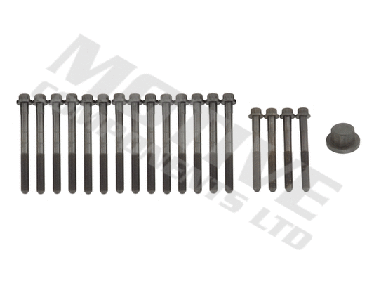 Cylinder Head Bolt Set (HB195SET)