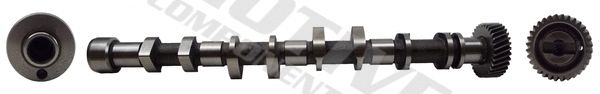 Camshaft (T8198)