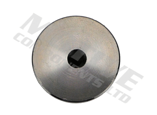 Intake Valve (IV10011)