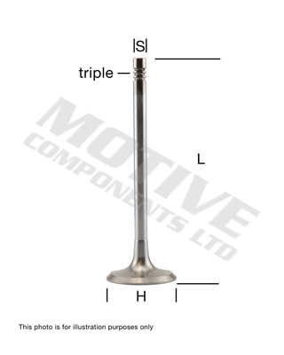 Intake Valve (IV9367)