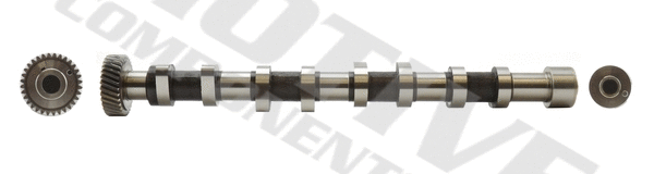 Camshaft (T2170)