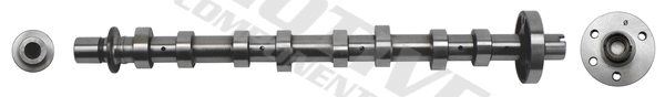 Camshaft
