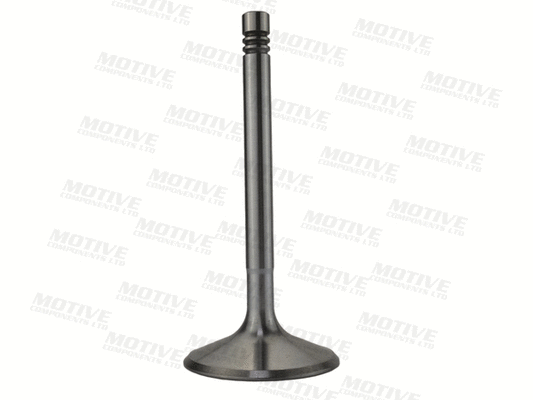 Exhaust Valve (EV10039)