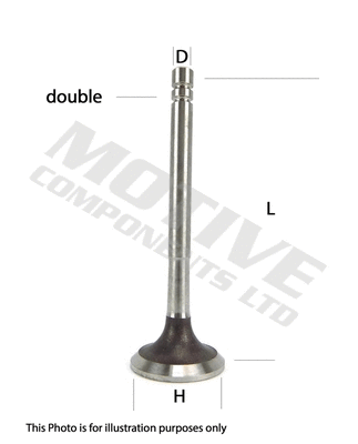 Exhaust Valve (EV7962)