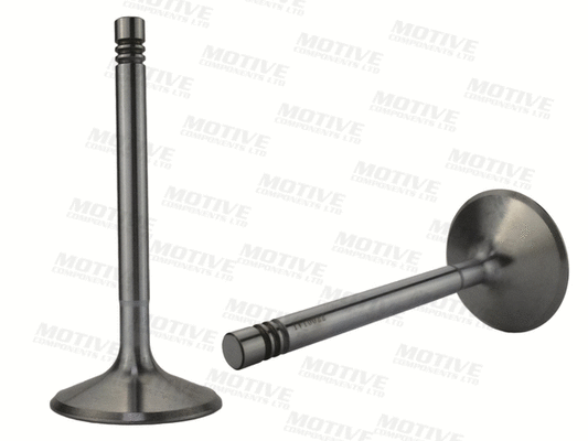 Exhaust Valve