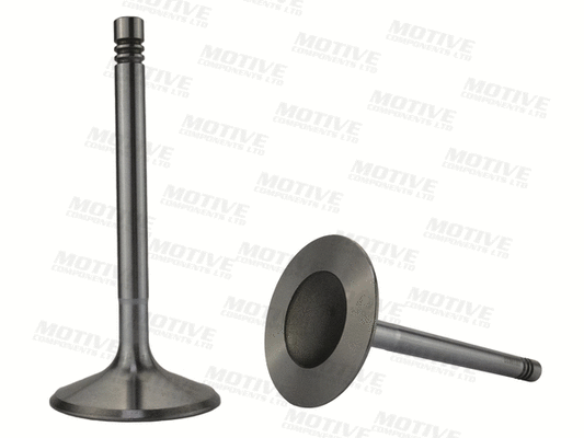Exhaust Valve