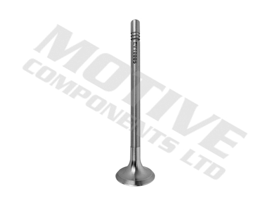 Exhaust Valve (EV10005)