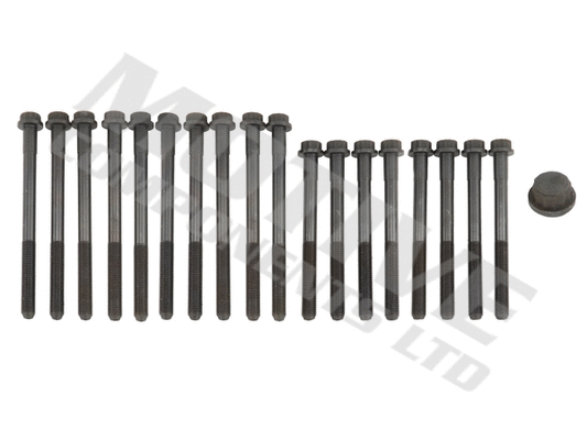Cylinder Head Bolt Set (HB191SET)