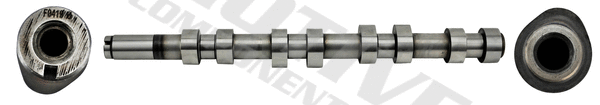 Camshaft
