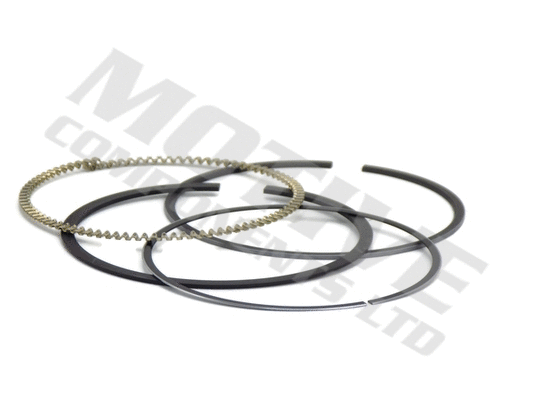 Piston Ring Kit (5313)