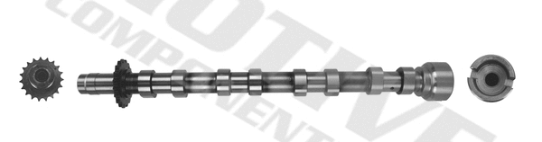 Camshaft (T4002)
