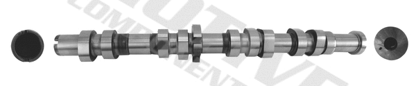 Camshaft