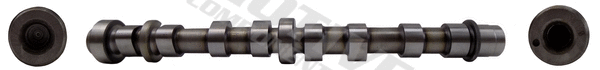 Camshaft (T8193)