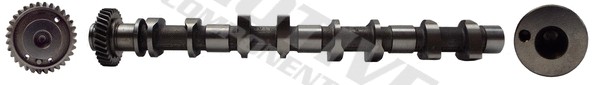 Camshaft (T8199)