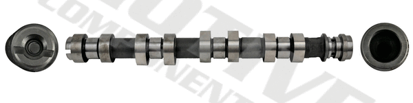 Camshaft (T4429)