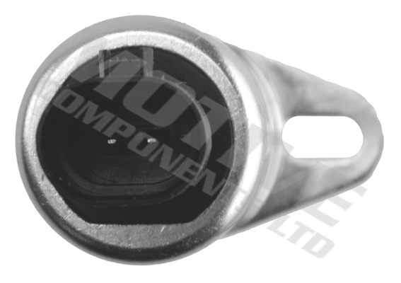 Control Valve, camshaft adjustment (VVTS2108)