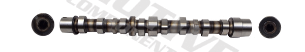 Camshaft
