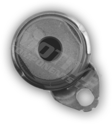 Control Valve, camshaft adjustment (VVTS2001)