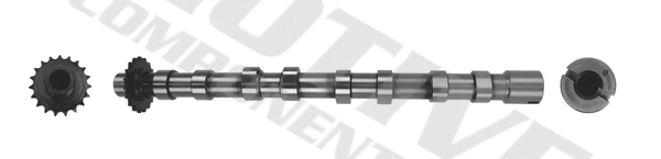 Camshaft (T4001)