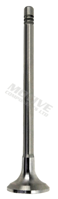 Intake Valve (IV10032)