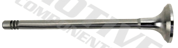 Intake Valve
