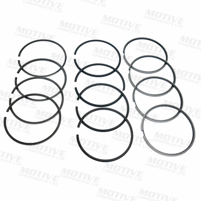 Piston Ring Kit (9041)