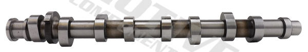 Camshaft (T2184)