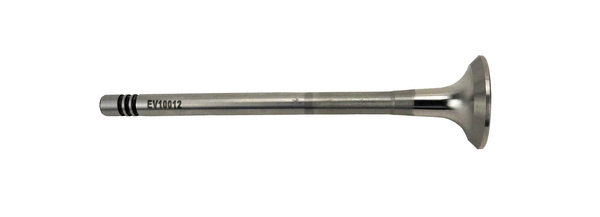 Exhaust Valve