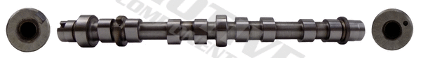 Camshaft (T8194)