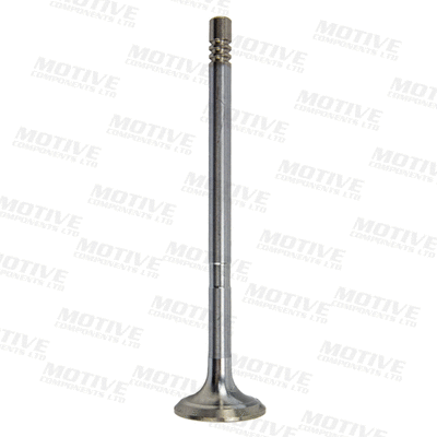 Exhaust Valve (EV10051)