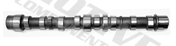 Camshaft (T1810)