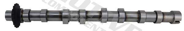 Camshaft