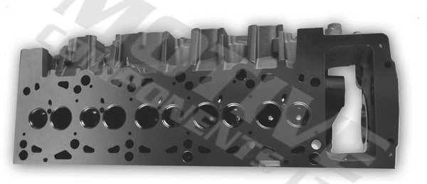 Cylinder Head (CYW817)