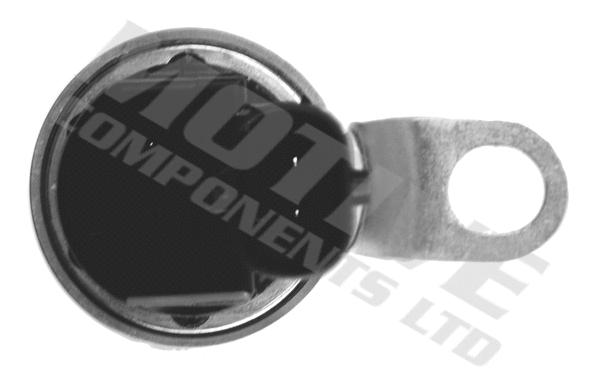 Control Valve, camshaft adjustment (VVTS2008)