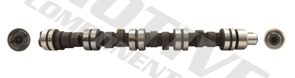 Camshaft (T8134)