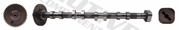 Camshaft (T2131)