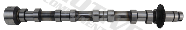 Camshaft (T4433)