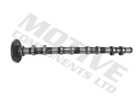 Camshaft (T4342)