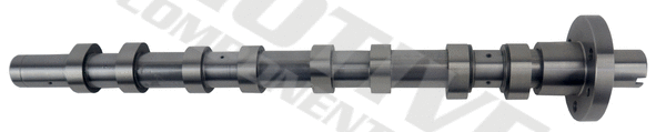 Camshaft