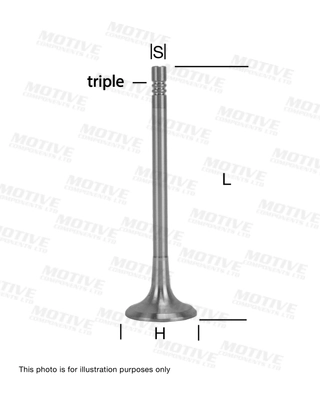 Intake Valve