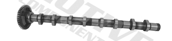 Camshaft