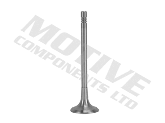 Exhaust Valve (EV10001)