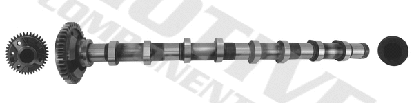 Camshaft