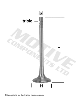 Exhaust Valve (EV9467)