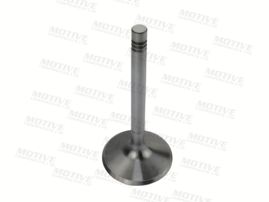 Exhaust Valve
