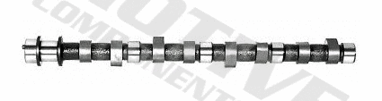 Camshaft (T2221)