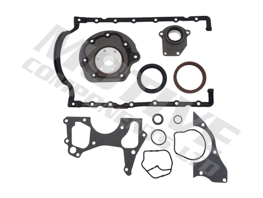 Gasket Kit, crankcase (CSF818)