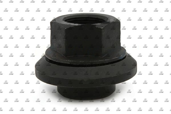 Wheel Nut (BZT17.00224)