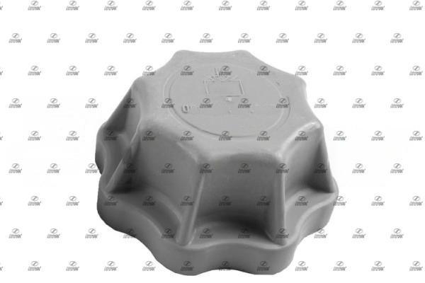 Cap, radiator (BZT17.00229)